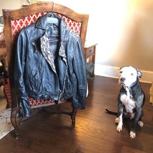 All Saints Leather Moto jacket with accents